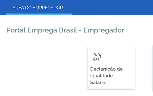 Declara O De Igualdade Salarial Guia Passo A Passo